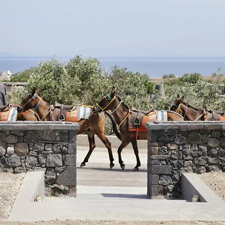 Villa Wonderful Santorini House Nykteri Private Pool Sea Views Plunge Pool Finikia-oia