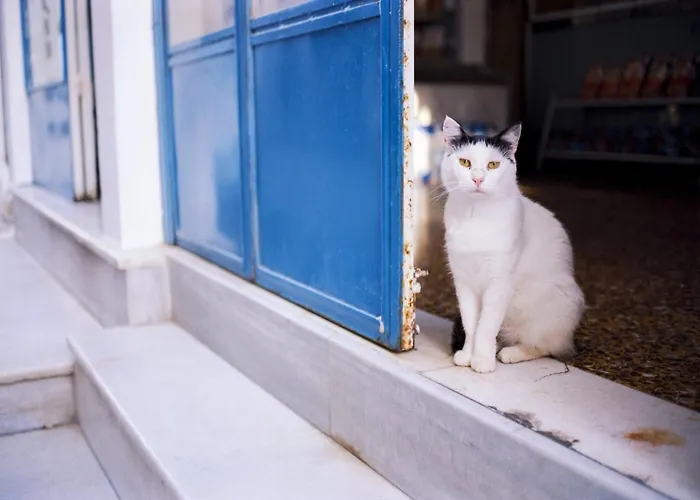 ヴィラ Wonderful Santorini House Nykteri Private Pool Sea Views & Plunge